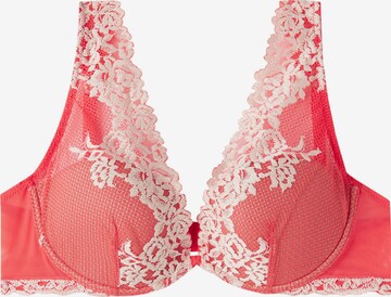 INTIMISSIMI Bra in Orange: front