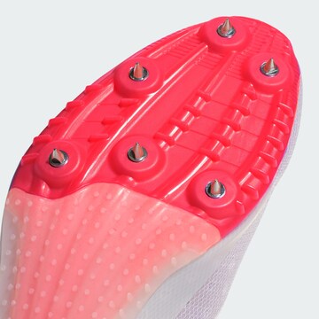 ADIDAS PERFORMANCE Laufschuh ' Adizero Sprintstar ' in Grau