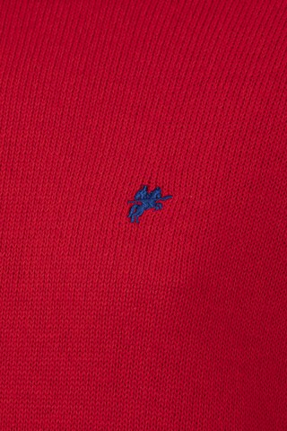 DENIM CULTURE Sweater 'Fallon' in Red