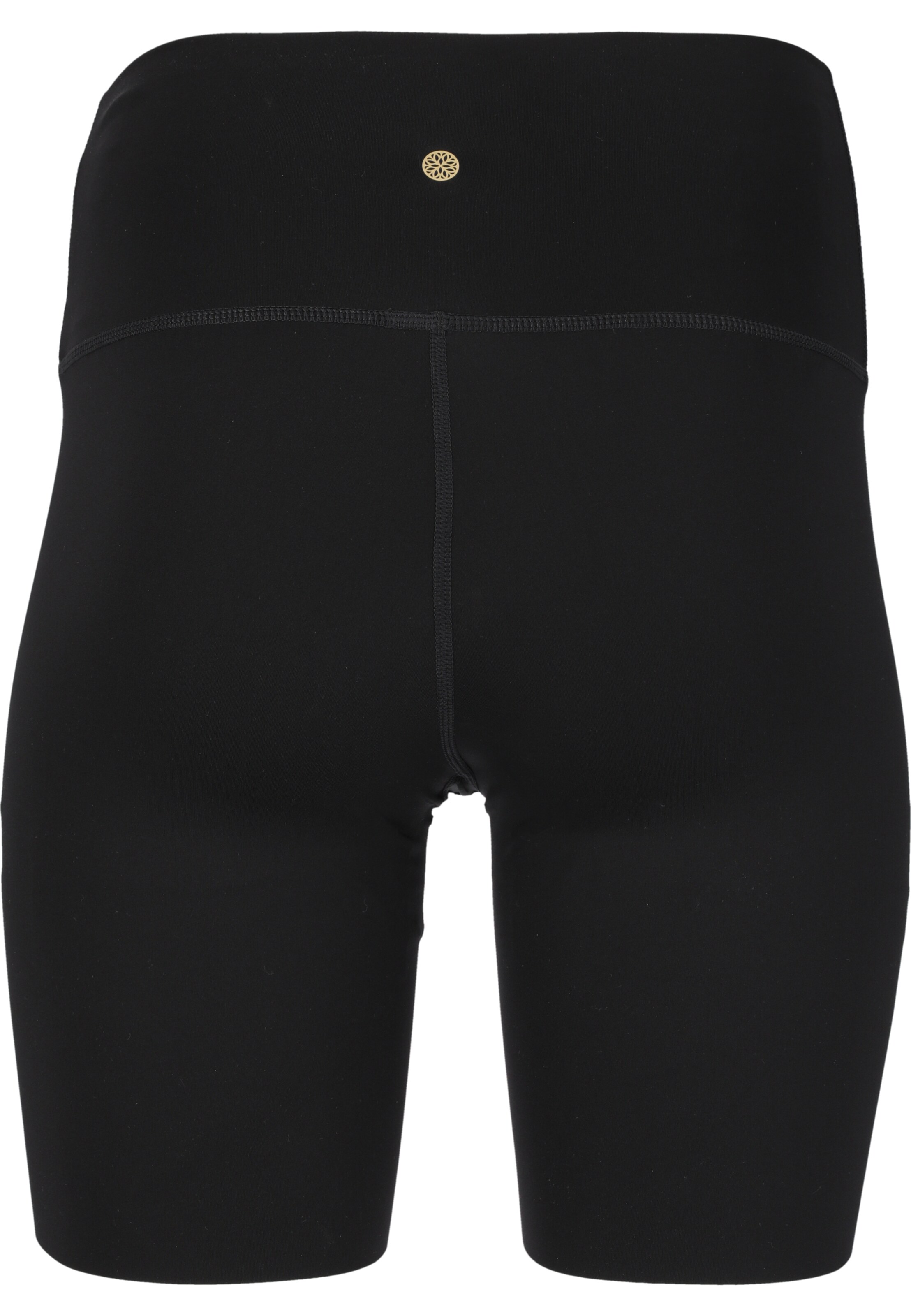 Athlecia Regular Sportbroek 'Franz V3' in Zwart
