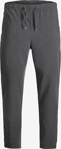 JACK & JONES Tapered Pants 'Ace Frankie' in Grey: front
