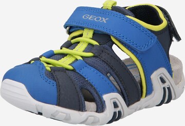 GEOX Open schoenen 'BOREALIS' in Blauw: voorkant