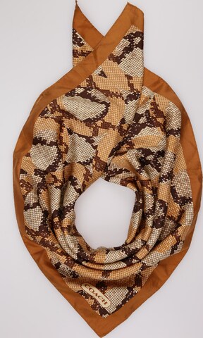 COACH Scarf & Wrap in One size in Brown: front