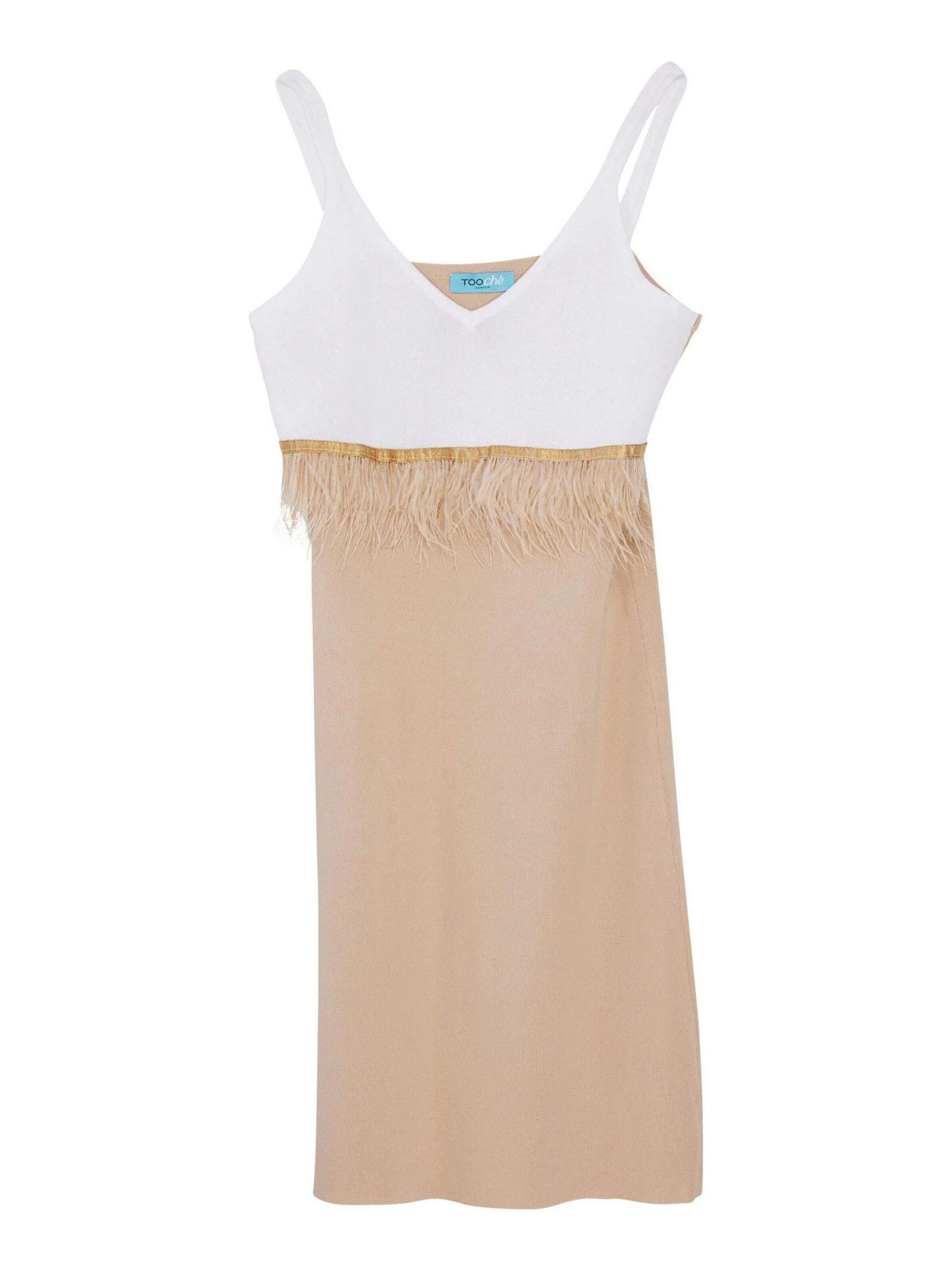 TOOche Dress in Beige: front