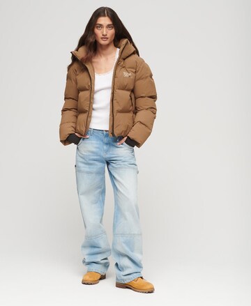 Superdry Winterjas in Bruin