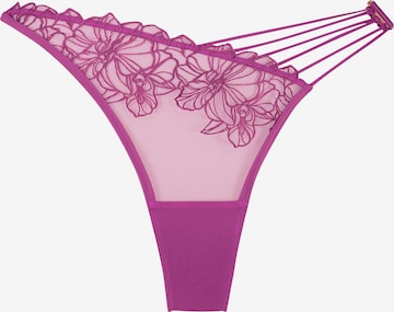 Hunkemöller Thong 'Constance' in Purple: front