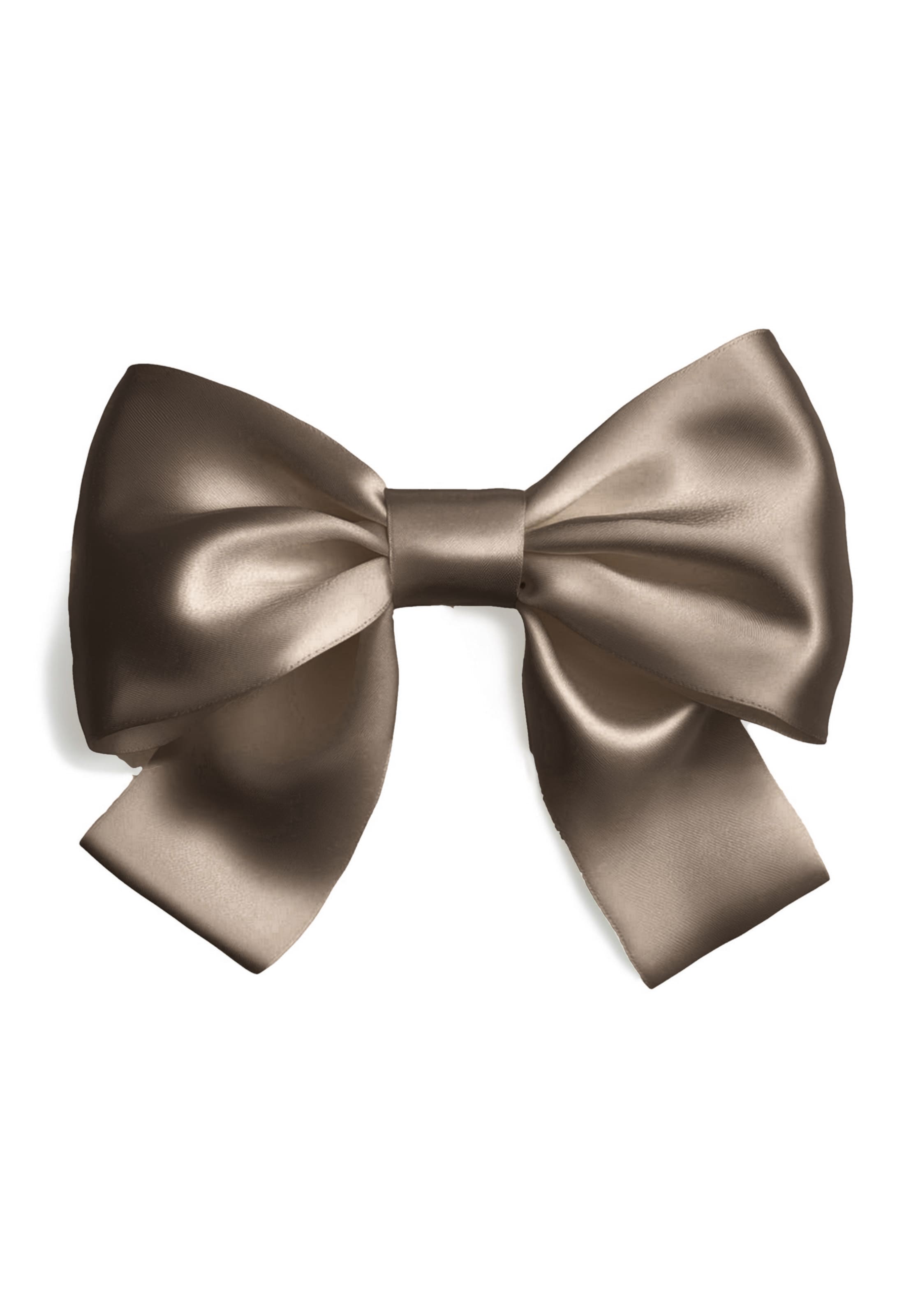 FILIPPA FIRENZE Hair Jewelry 'Silk Bow' in Brown: front