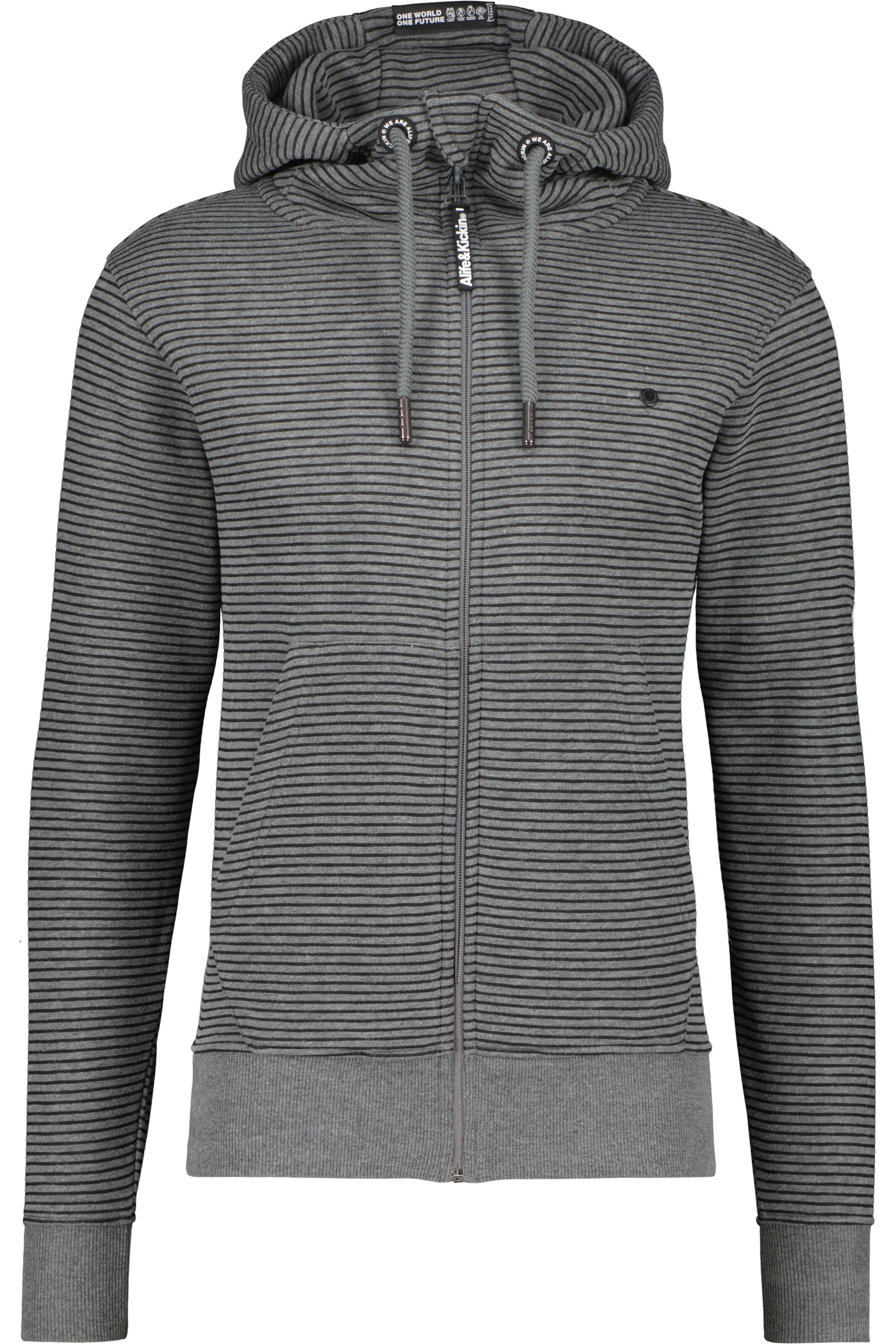 alife & kickin Zip-Up Hoodie 'Trasher' in Grey: front
