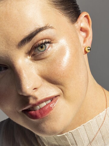 Luxenter Earrings 'Gnis' in Gold