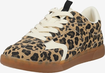 Baskets basses Blowfish Malibu en marron : devant