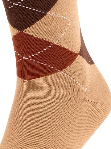 FALKE Socks 'Sensitive Argyle' in Beige