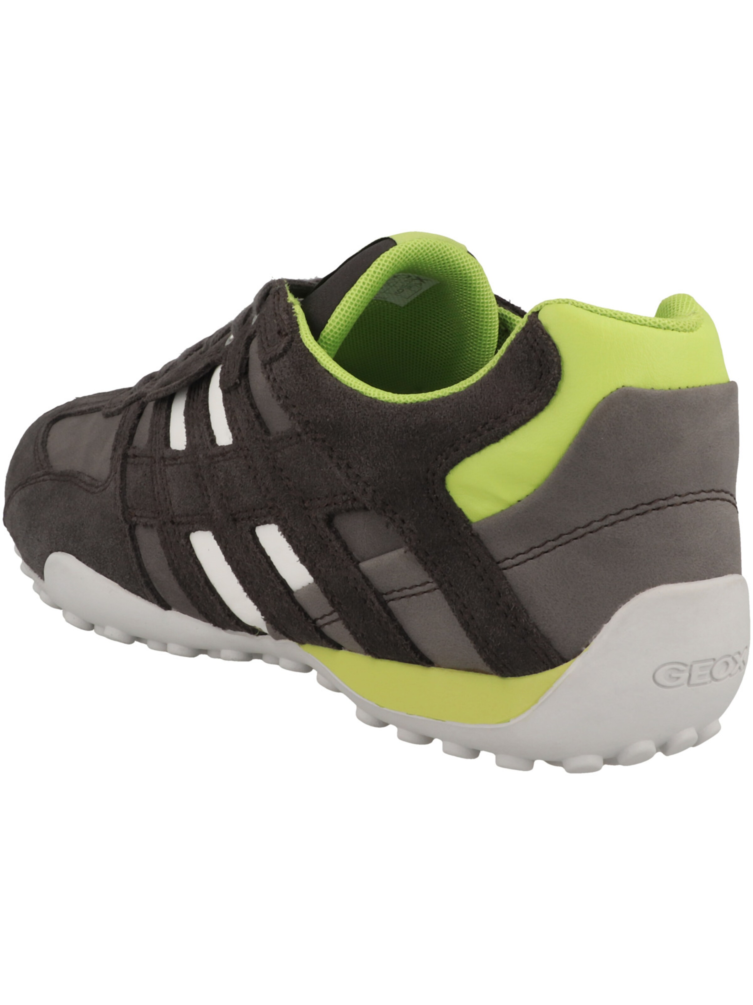 Sneaker bassa di GEOX in grigio