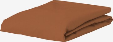 ESSENZA Bed Sheet 'Minte' in Brown: front