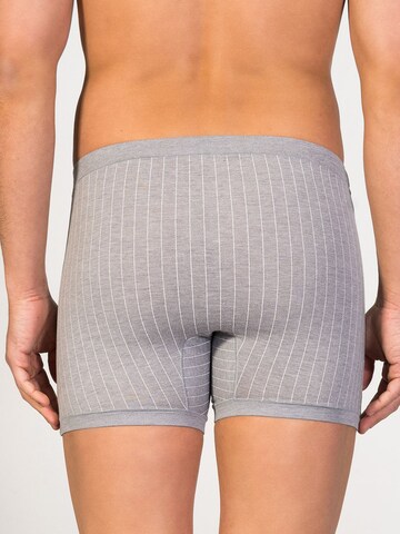 zd ZERO DEFECTS Boxer shorts 'Helios prinstriped fly front boxer' in Grey