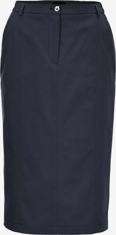 Goldner Skirt in Blue: front