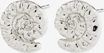 sidabrinė Pilgrim Auskaras ' Haze ': priekis