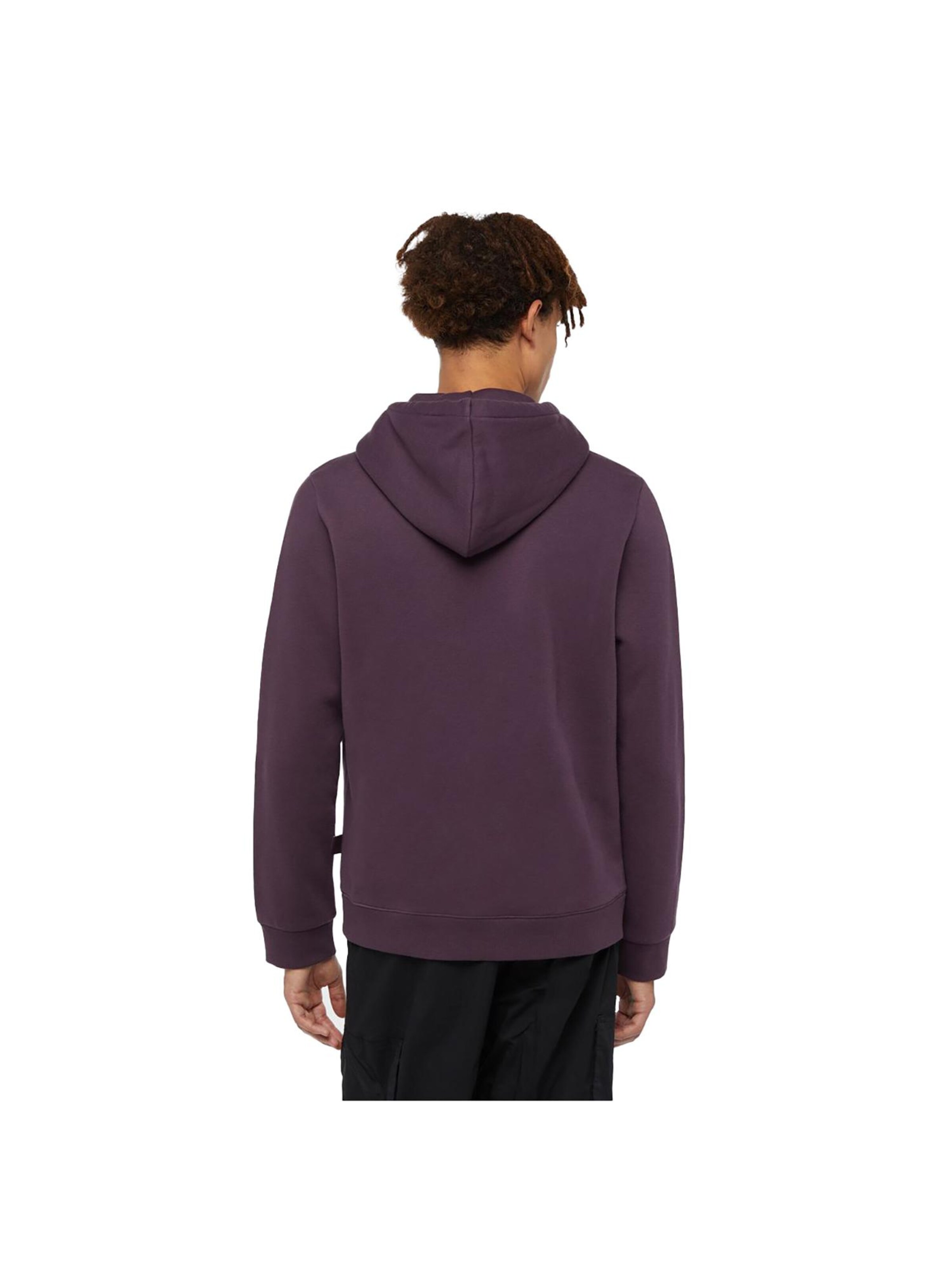 DICKIES Sweatshirt 'Classic' in Purple