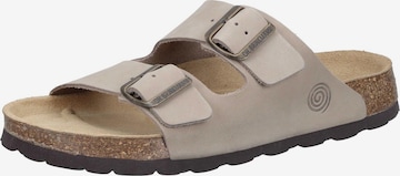 DR. BRINKMANN Mules 'Bonillo' in Beige: front