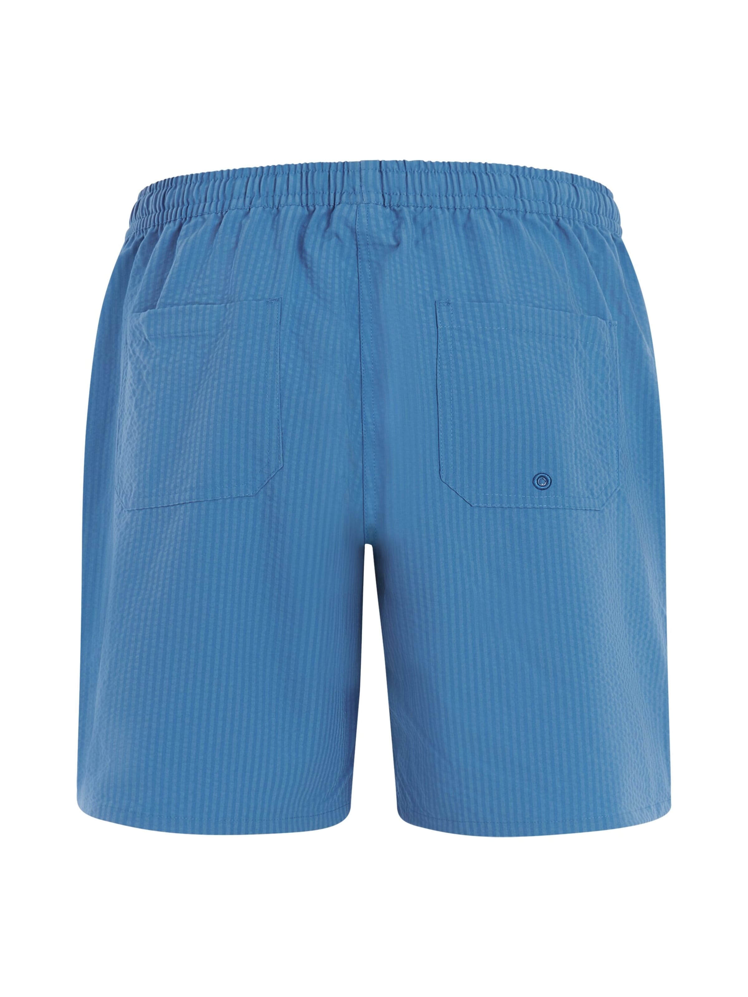 PROTEST Boardshorts 'PRTMapple'‌ in Blau