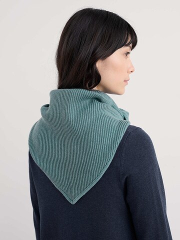 Seasalt Cornwall Sjaal 'Makers' in Blauw