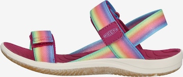 KEEN Sandals 'Elle' in Mixed colors