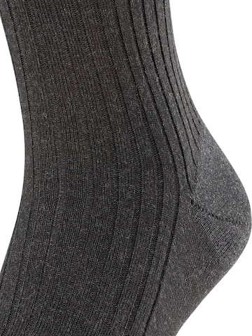 FALKE Socks 'Bristol Pure' in Grey