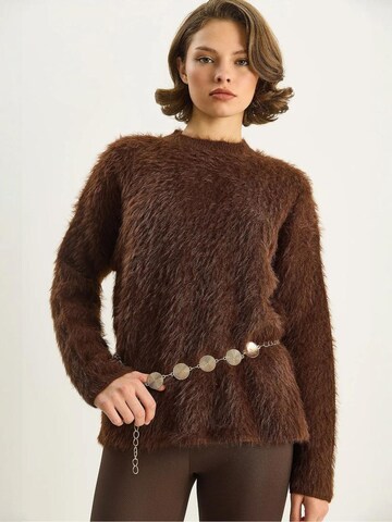 Pull-over 'Pullover' Bianco Lucci en marron