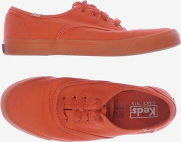 KED Sneaker 37 in Orange: predná strana