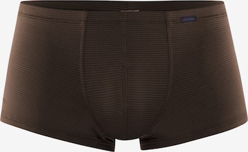 Olaf Benz Boxer shorts in Brown: front