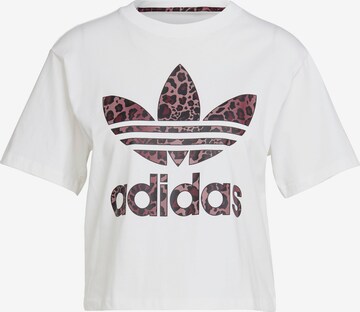ADIDAS ORIGINALS Shirt 'Logo' in White: front