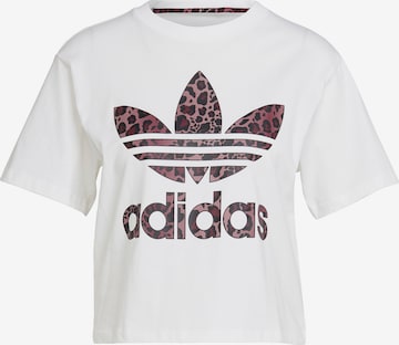 ADIDAS ORIGINALS T-Shirt 'Logo' in Weiß: predná strana
