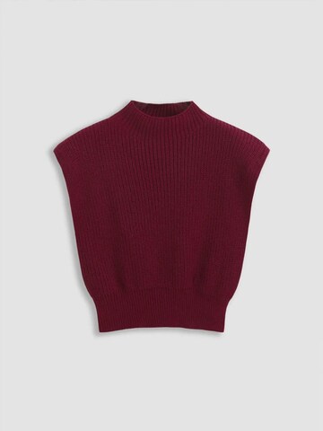 Hiccup Pullover in Rot: Vorderseite