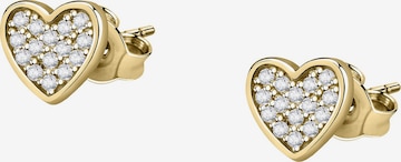 FAVS Ohrringe in Gold: Vorderseite