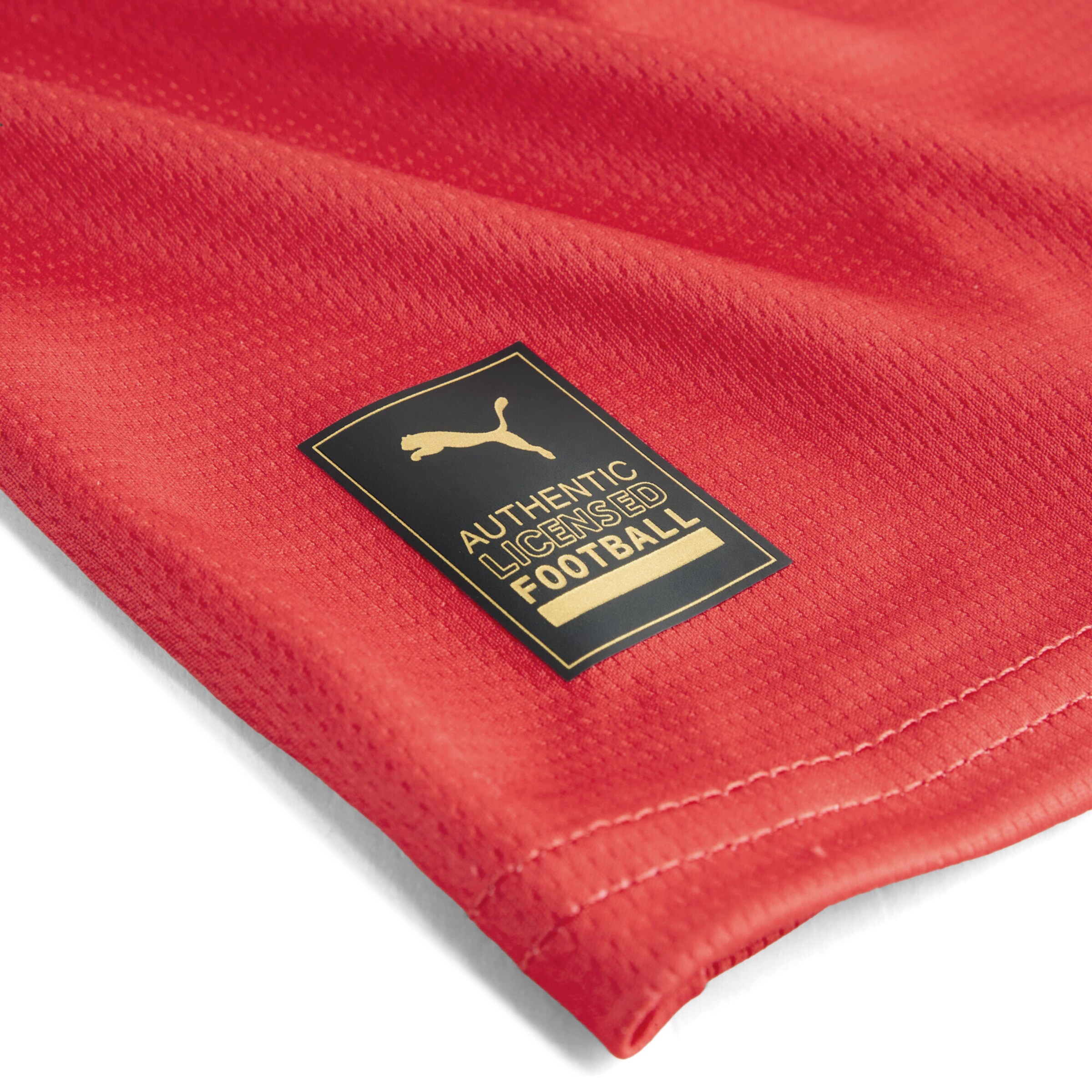 PUMA Tricot 'Holstein Kiel 25/26' in Rood