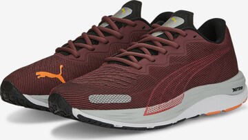 Chaussure de course 'Velocity Nitro 2' PUMA en violet