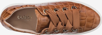 GABOR Sneaker 'Comfort Florenz 66.464' in Braun