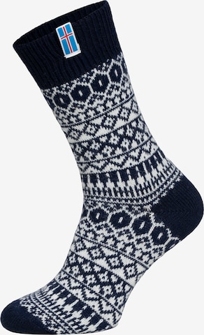 HomeOfSocks Socks 'HOS602' in Blue: front