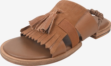 Sandales à lanières ' ROJA ' Crickit en marron : devant