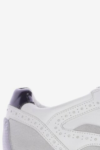 DSQUARED2 Sneaker 41 in Weiß