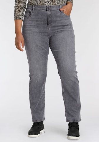 Levi's® Plus Regular Jeans in Grau: predná strana