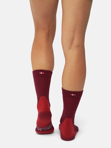 Chaussettes 'Hiking Classic' DANISH ENDURANCE en mélange de couleurs