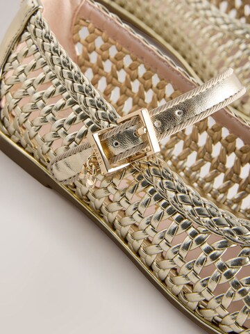 Baker by Ted Baker Ballerina in Gold