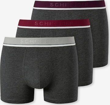 SCHIESSER Boxer shorts in Grey: front