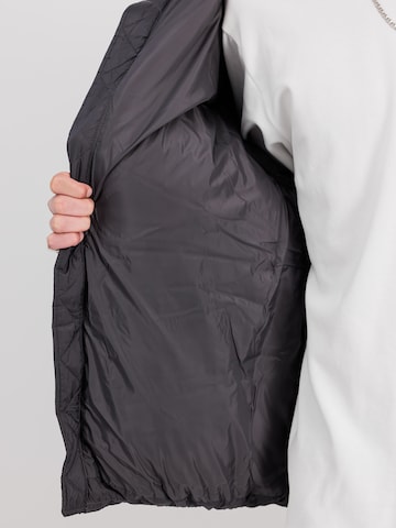ALPHA INDUSTRIES Χειμερινό μπουφάν σε γκρι
