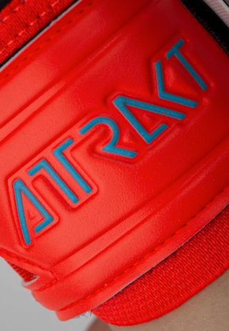 Gants de sport 'Attrakt Gold X Evolution' REUSCH en rouge