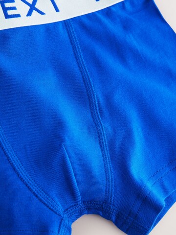 Next Underpants in Mixed colors