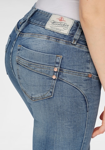 Regular Jeans de la Herrlicher pe albastru