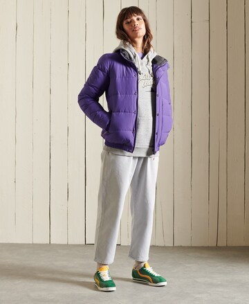 Superdry Between-Season Jacket in Purple