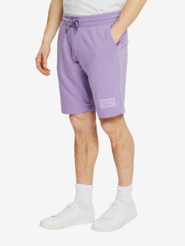 ESPRIT Regular Pants in Purple