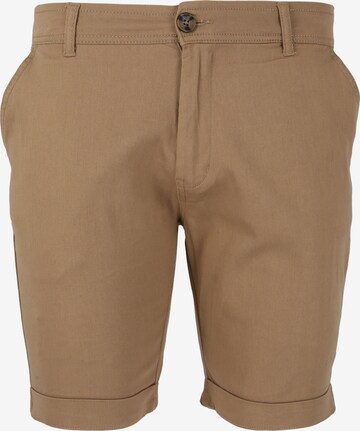 Cruz Pants 'Jerryne' in Brown: front